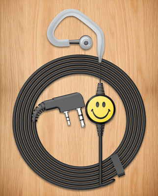 Wt200 Modèle de puce à l'oreille avec microphone PTT en ligne